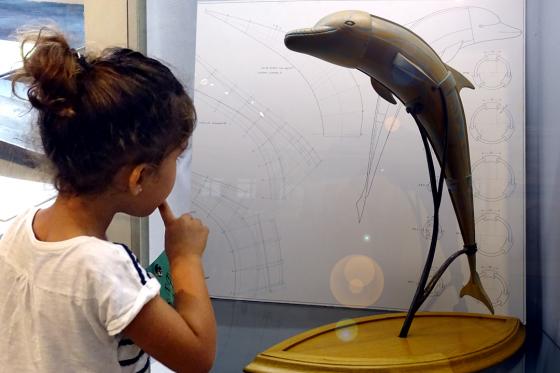 Les animaux vous regardent